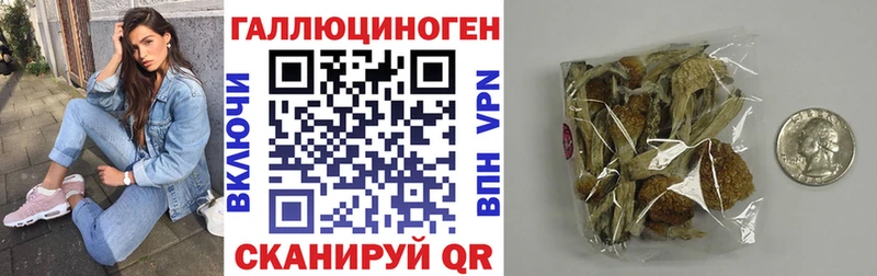 купить наркотики цена Мезень Галлюциногенные грибы Magic Shrooms